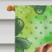 Load image into Gallery viewer, Jack Russell Terrier #2 St Patrick's Flag Canvas House Size BB9887CHF