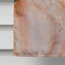 Load image into Gallery viewer, Labrador Retriever St Patrick's Flag Canvas House Size BB9888CHF