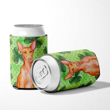 Load image into Gallery viewer, Pharaoh Hound St Patrick's Can or Bottle Hugger BB9889CC