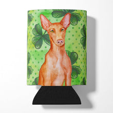 Load image into Gallery viewer, Pharaoh Hound St Patrick's Can or Bottle Hugger BB9889CC