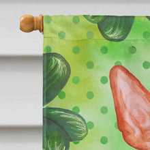 Load image into Gallery viewer, Pharaoh Hound St Patrick's Flag Canvas House Size BB9889CHF