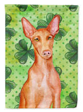 Load image into Gallery viewer, Pharaoh Hound St Patrick's Flag Canvas House Size BB9889CHF