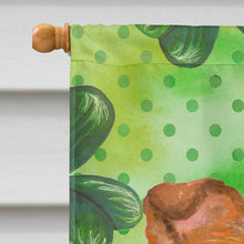 Load image into Gallery viewer, Sheltie St Patrick's Flag Canvas House Size BB9894CHF