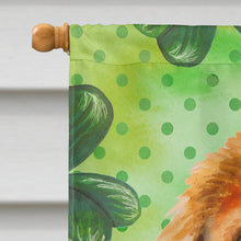 Load image into Gallery viewer, Tibetan Mastiff St Patrick's Flag Canvas House Size BB9895CHF