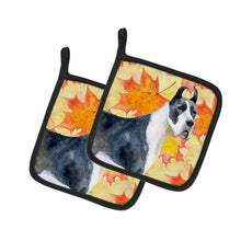 Load image into Gallery viewer, Harlequin Great Dane Fall Pot Holders - Set of 2 - Heat-Resistant Kitchen Essentials BB9904PTHD
