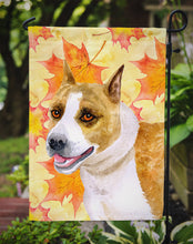 Load image into Gallery viewer, American Staffordshire Fall Garden Flag - Outdoor Decorative Yard Flag BB9905GF