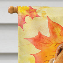 Load image into Gallery viewer, Fox Terrier Fall Flag Canvas House Size BB9911CHF