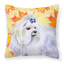 Load image into Gallery viewer, Maltese Fall Fabric Decorative Pillow BB9912PW1818
