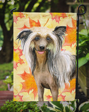 Load image into Gallery viewer, Chinese Crested Fall Garden Flag - Outdoor Decorative Yard Flag BB9920GF