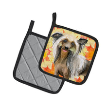 Load image into Gallery viewer, Chinese Crested Fall Pot Holders - Set of 2 - Heat-Resistant Kitchen Essentials BB9920PTHD