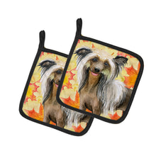 Load image into Gallery viewer, Chinese Crested Fall Pot Holders - Set of 2 - Heat-Resistant Kitchen Essentials BB9920PTHD