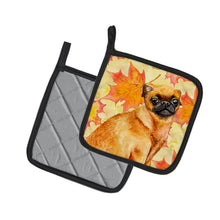Load image into Gallery viewer, Small Brabant Griffon Fall Pot Holders - Set of 2 - Heat-Resistant Kitchen Essentials BB9928PTHD