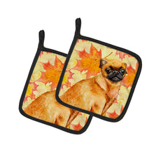 Load image into Gallery viewer, Small Brabant Griffon Fall Pot Holders - Set of 2 - Heat-Resistant Kitchen Essentials BB9928PTHD