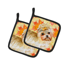 Load image into Gallery viewer, Morkie Fall Pot Holders - Set of 2 - Heat-Resistant Kitchen Essentials BB9929PTHD