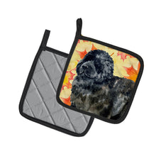 Load image into Gallery viewer, Newfoundland Fall Pot Holders - Set of 2 - Heat-Resistant Kitchen Essentials BB9932PTHD
