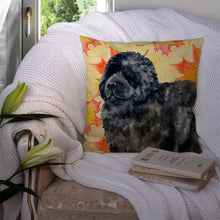 Load image into Gallery viewer, Newfoundland Fall Throw Pillow - 14x14 Decorative Pillow – Art for Your Home &amp; Patio BB9932PW1414