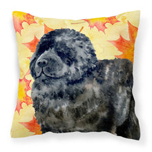 Load image into Gallery viewer, Newfoundland Fall Fabric Decorative Pillow BB9932PW1818