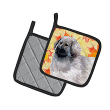 Load image into Gallery viewer, Moscow Watchdog Fall Pot Holders - Set of 2 - Heat-Resistant Kitchen Essentials BB9934PTHD