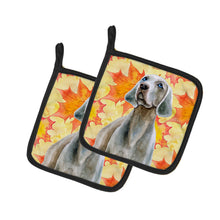 Load image into Gallery viewer, Weimaraner Fall Pot Holders - Set of 2 - Heat-Resistant Kitchen Essentials BB9935PTHD