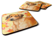 Load image into Gallery viewer, Rhodesian Ridgeback Fall Foam Coaster  BB9937FC