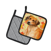 Load image into Gallery viewer, Rhodesian Ridgeback Fall Pot Holders - Set of 2 - Heat-Resistant Kitchen Essentials BB9937PTHD