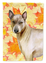 Load image into Gallery viewer, Thai Ridgeback Fall Garden Flag - Outdoor Decorative Yard Flag BB9941GF