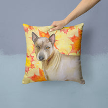 Load image into Gallery viewer, Thai Ridgeback Fall Throw Pillow - 14x14 Decorative Pillow – Art for Your Home &amp; Patio BB9941PW1414