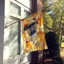 Load image into Gallery viewer, Brussels Griffon Fall Flag Canvas House Size BB9948CHF