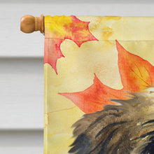 Load image into Gallery viewer, Brussels Griffon Fall Flag Canvas House Size BB9948CHF