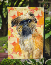 Load image into Gallery viewer, Brussels Griffon Fall Garden Flag - Outdoor Decorative Yard Flag BB9948GF