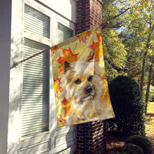 Load image into Gallery viewer, Cairn Terrier Fall Flag Canvas House Size BB9951CHF