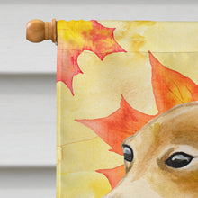 Load image into Gallery viewer, Italian Greyhound Fall Flag Canvas House Size BB9959CHF