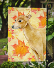 Load image into Gallery viewer, Italian Greyhound Fall Garden Flag - Outdoor Decorative Yard Flag BB9959GF