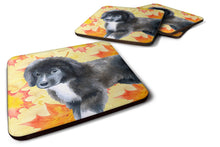 Load image into Gallery viewer, Newfoundland Puppy Fall Foam Coaster  BB9960FC
