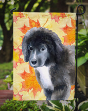 Load image into Gallery viewer, Newfoundland Puppy Fall Garden Flag - Outdoor Decorative Yard Flag BB9960GF