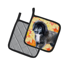 Load image into Gallery viewer, Newfoundland Puppy Fall Pot Holders - Set of 2 - Heat-Resistant Kitchen Essentials BB9960PTHD