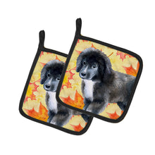 Load image into Gallery viewer, Newfoundland Puppy Fall Pot Holders - Set of 2 - Heat-Resistant Kitchen Essentials BB9960PTHD