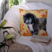Load image into Gallery viewer, Newfoundland Puppy Fall Throw Pillow - 14x14 Decorative Pillow – Art for Your Home &amp; Patio BB9960PW1414