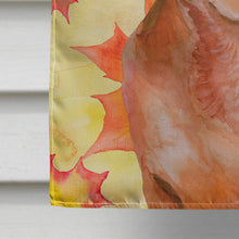 Load image into Gallery viewer, Red Dachshund Fall Flag Canvas House Size BB9968CHF