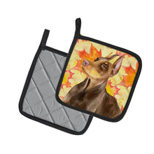 Load image into Gallery viewer, Doberman Pinscher Fall Pot Holders - Set of 2 - Heat-Resistant Kitchen Essentials BB9970PTHD
