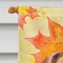 Load image into Gallery viewer, Jack Russell Terrier #2 Fall Flag Canvas House Size BB9974CHF