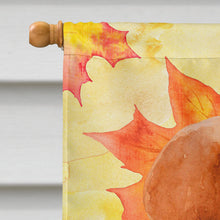 Load image into Gallery viewer, Labrador Retriever Fall Flag Canvas House Size BB9975CHF