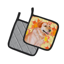 Load image into Gallery viewer, Labrador Retriever Fall Pot Holders - Set of 2 - Heat-Resistant Kitchen Essentials BB9975PTHD