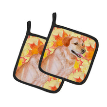 Load image into Gallery viewer, Labrador Retriever Fall Pot Holders - Set of 2 - Heat-Resistant Kitchen Essentials BB9975PTHD