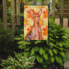 Load image into Gallery viewer, Pharaoh Hound Fall Garden Flag - Outdoor Decorative Yard Flag BB9976GF