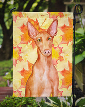 Load image into Gallery viewer, Pharaoh Hound Fall Garden Flag - Outdoor Decorative Yard Flag BB9976GF