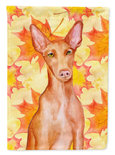 Load image into Gallery viewer, Pharaoh Hound Fall Garden Flag - Outdoor Decorative Yard Flag BB9976GF