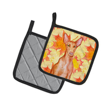 Load image into Gallery viewer, Pharaoh Hound Fall Pot Holders - Set of 2 - Heat-Resistant Kitchen Essentials BB9976PTHD