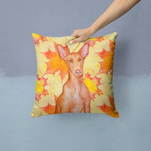 Load image into Gallery viewer, Pharaoh Hound Fall Throw Pillow - 14x14 Decorative Pillow – Art for Your Home &amp; Patio BB9976PW1414