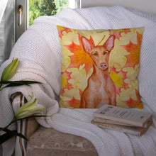 Load image into Gallery viewer, Pharaoh Hound Fall Throw Pillow - 14x14 Decorative Pillow – Art for Your Home &amp; Patio BB9976PW1414